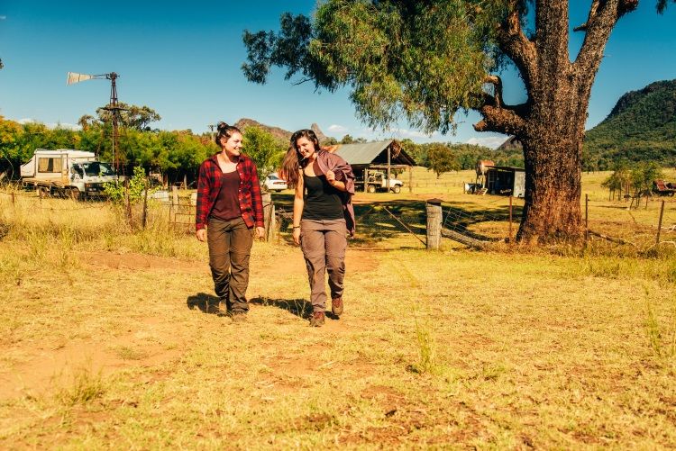 Arbeit auf einer Farm bei Work and Travel in Australien