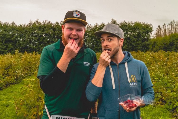 Fruitpicking bei Work and Travel in Neuseeland