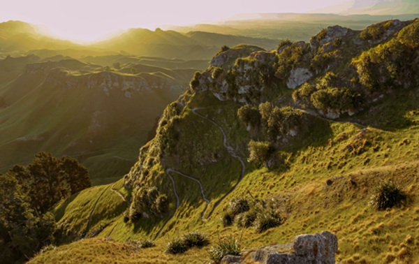 Grüne Landschaft in Neuseeland